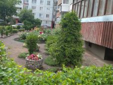 Великий Новгород, ул. Кочетова, д. 15, корп. 1	